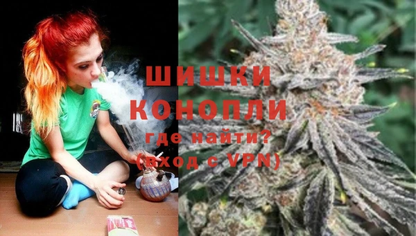 эйфоретик Арсеньев