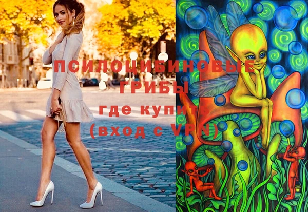 эйфоретик Арсеньев