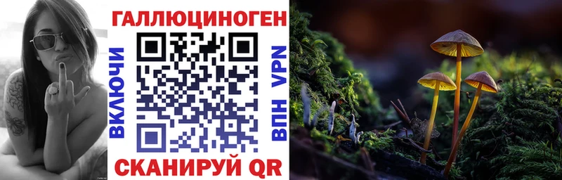 Галлюциногенные грибы мухоморы  Балтийск 